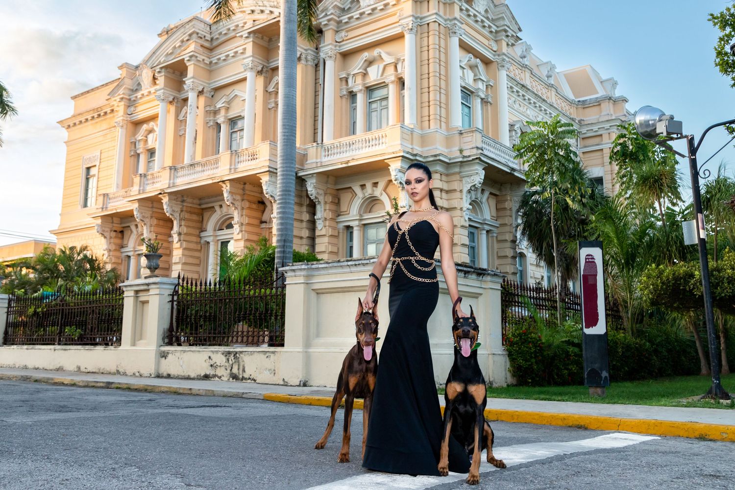 Fotografía canina