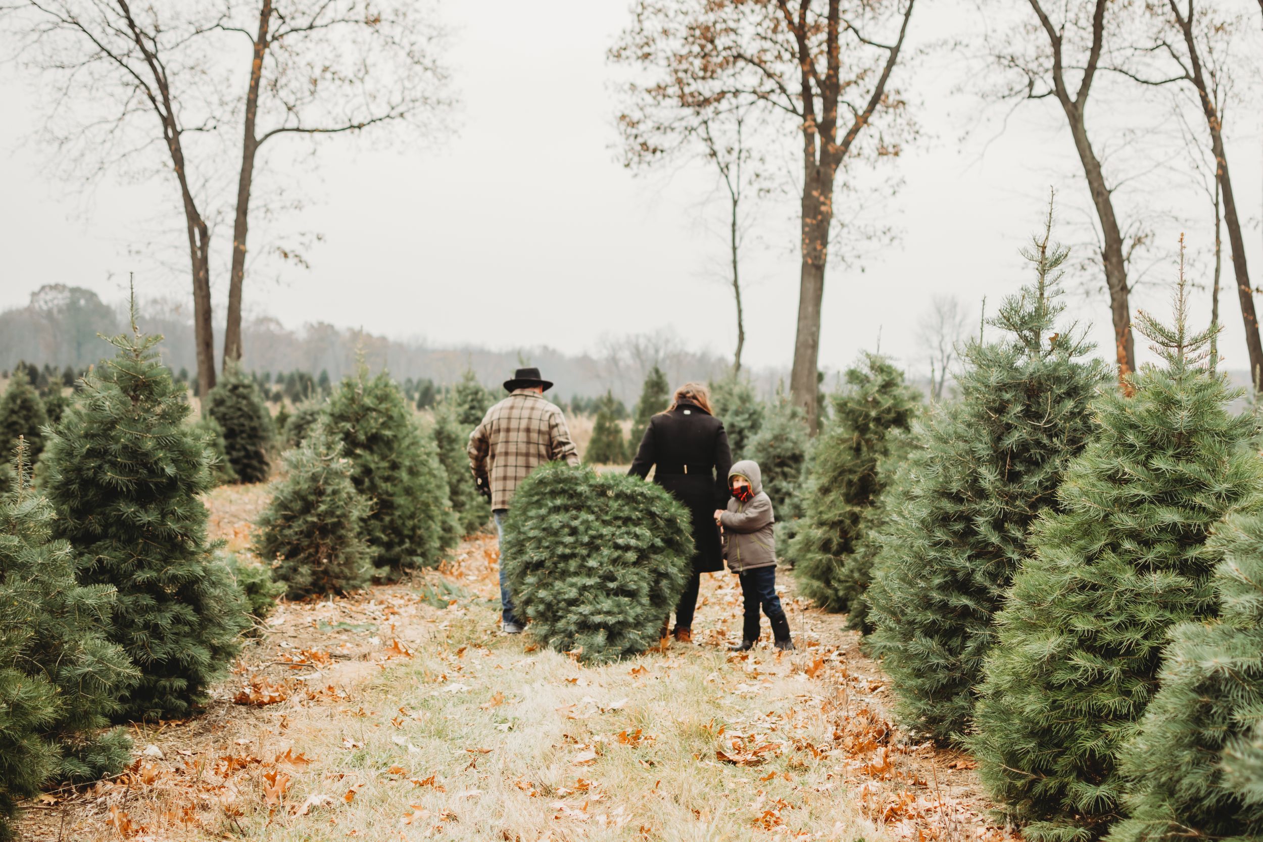 Dana Renee Photography, Top Hill Farm, tree farm. Goodrich, Michigan
