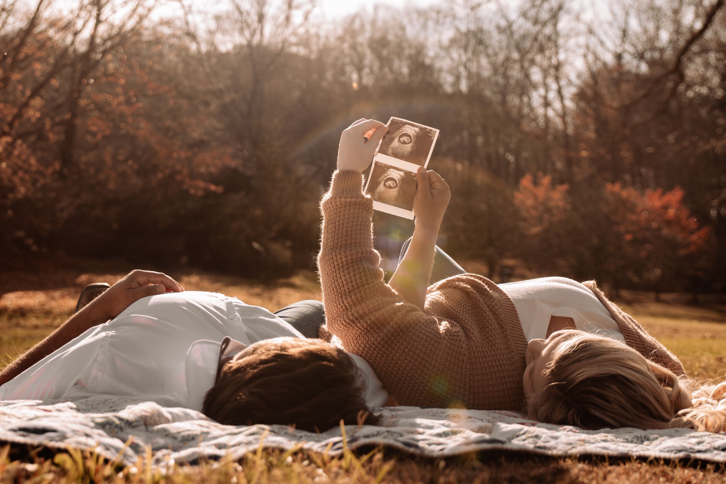 Golden sunlight illuminates a natural outdoor setting with trees and grass.