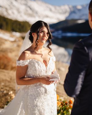 A bride in a lace dress stands against a backdrop of snow-capped mountains and a serene lake.