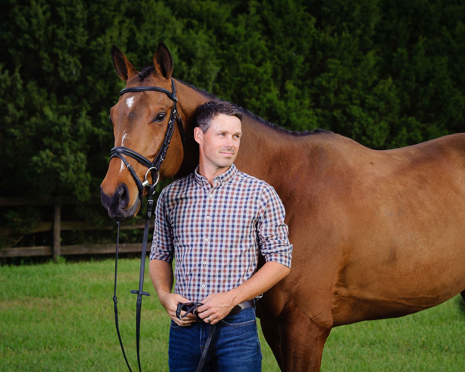 Male Equestrian & Horse