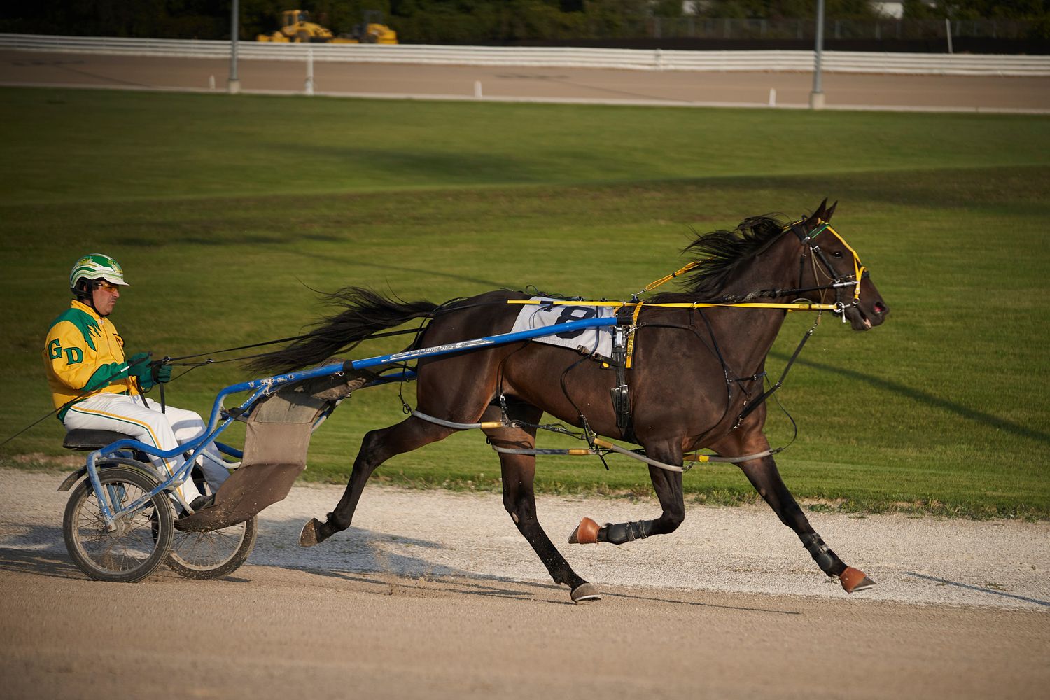 Harness racing horse and jockey in action on dirt track.