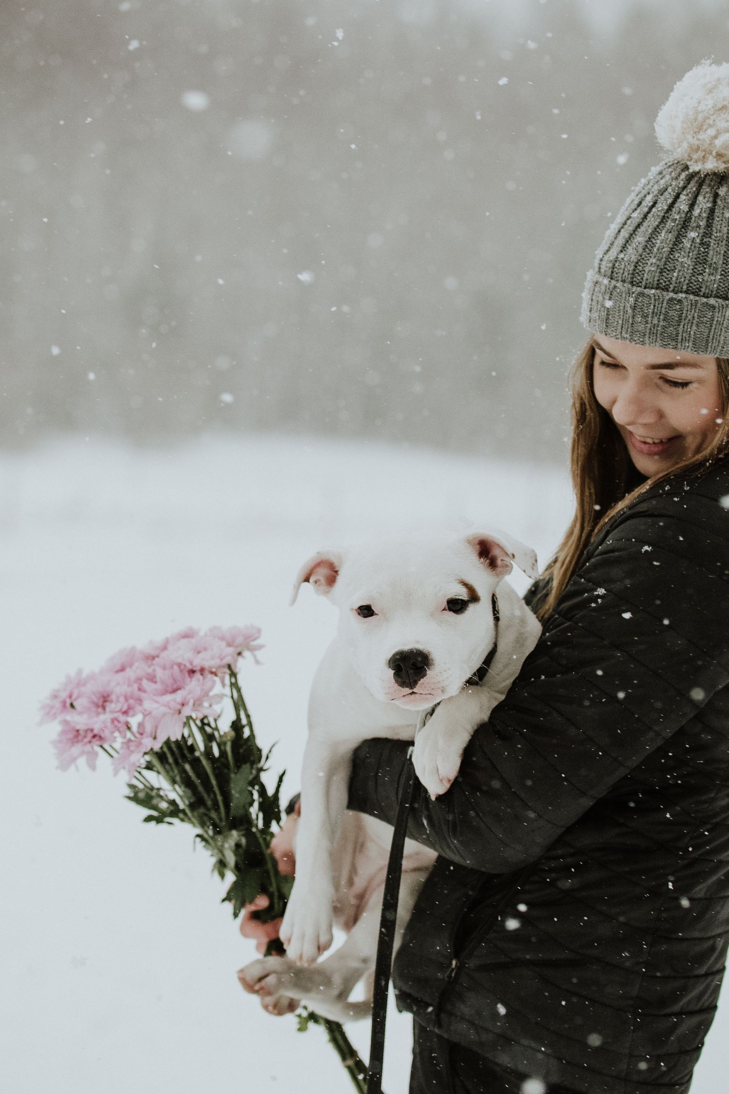Person holding pink flowers stands with white puppy in snowy winter scene.
