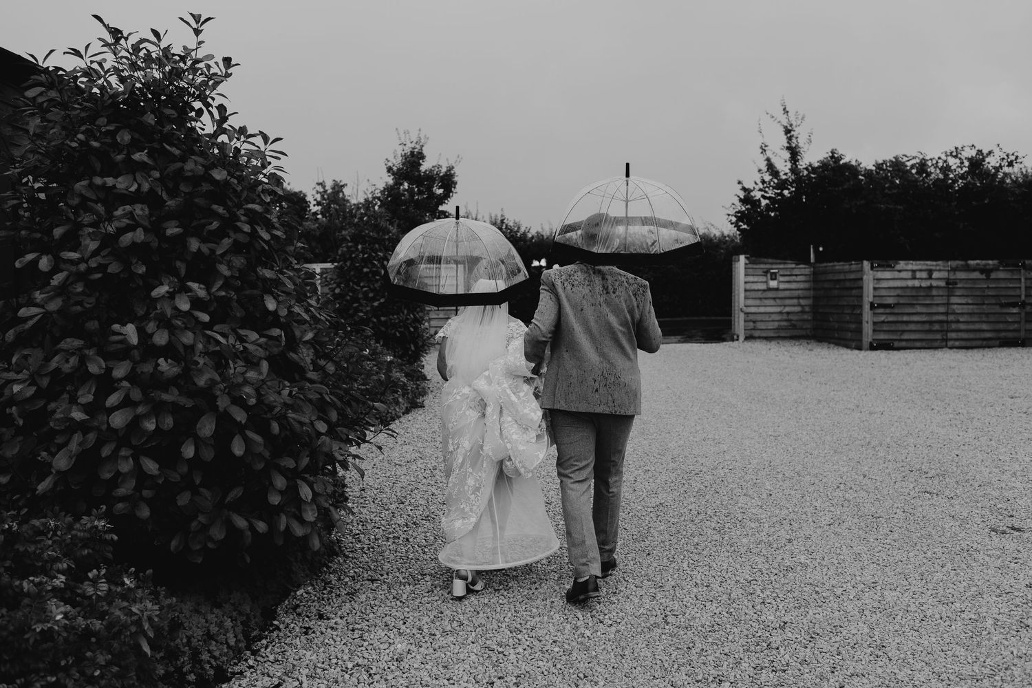 Black and white photo of couple walking with umbrellas on gravel path during wedding day.