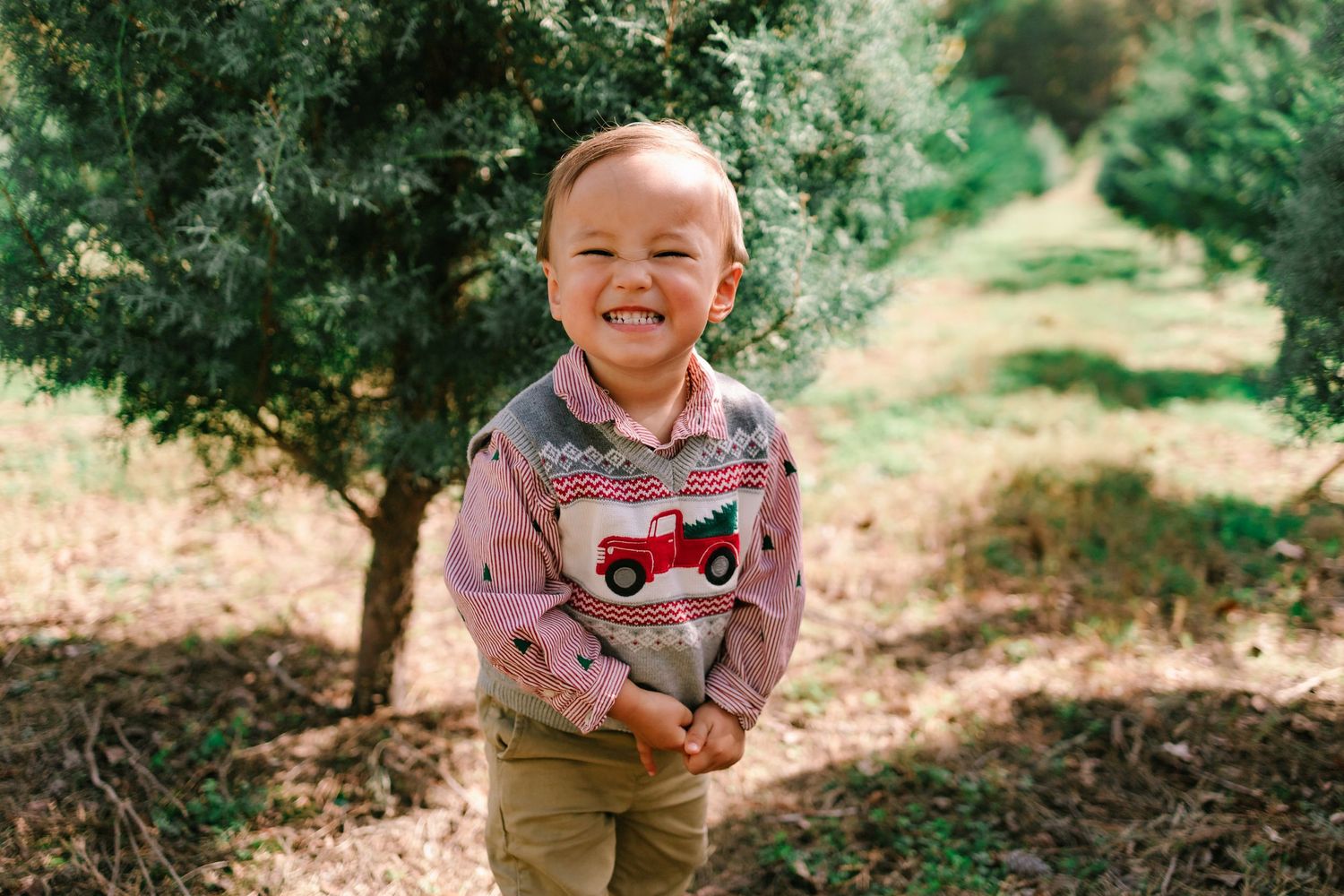 Happy toddler boy in red truck sweater smiling among green pine trees outdoors.