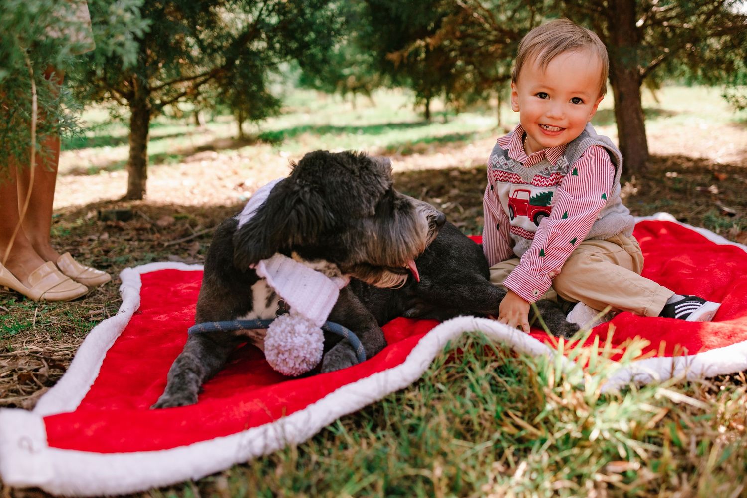 Smiling toddler sitting on red blanket outdoors with a fluffy black dog under pine trees.