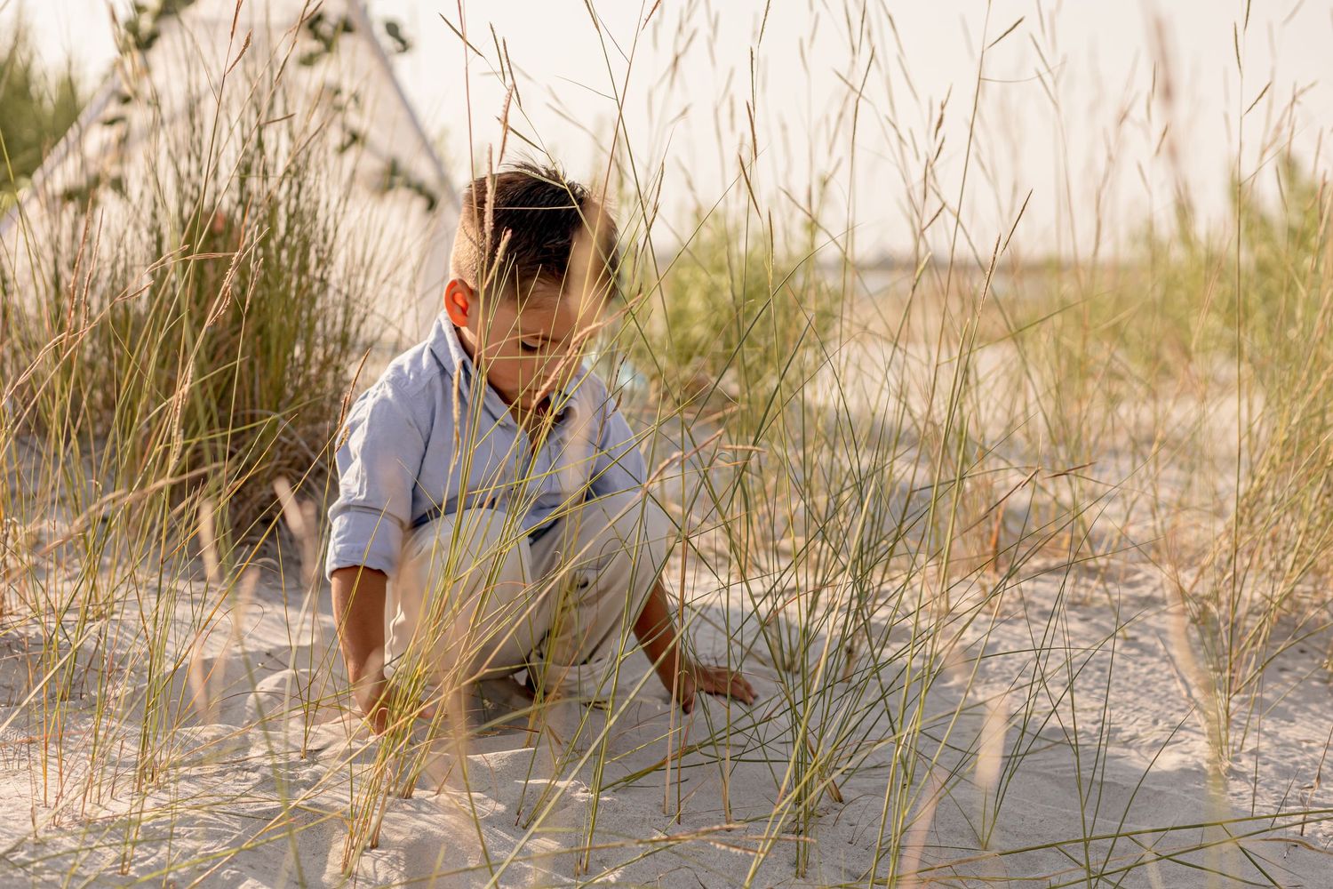 Young boy in blue shirt playing in sandy dunes surrounded by tall beach grass.