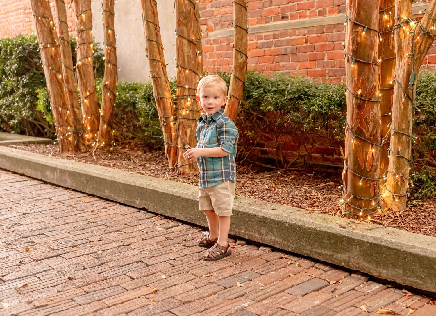 Cute toddler boy in plaid shirt and shorts walking on brick pathway with festive lights.