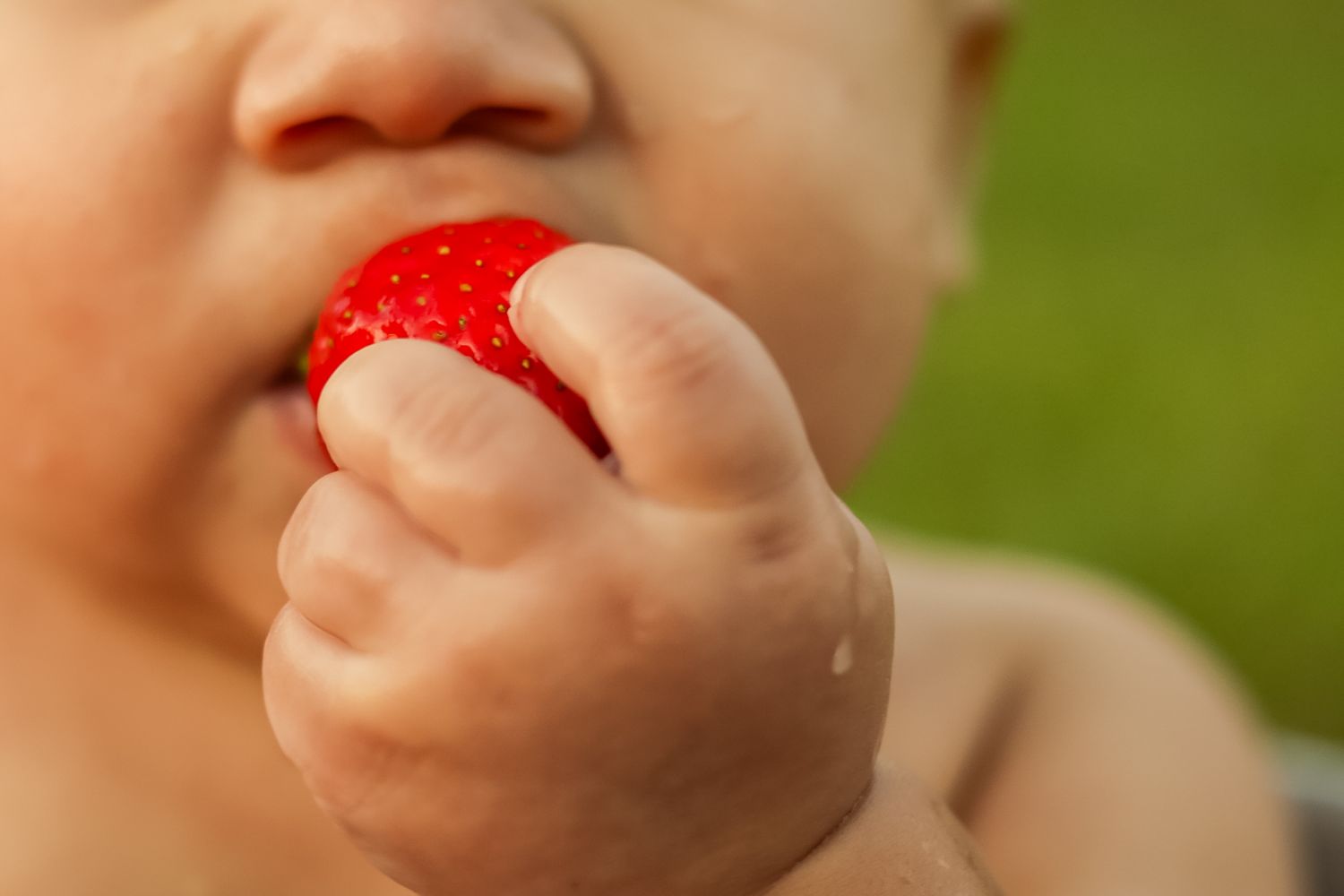 Close-up of a baby eating a fresh red strawberry outdoors.
