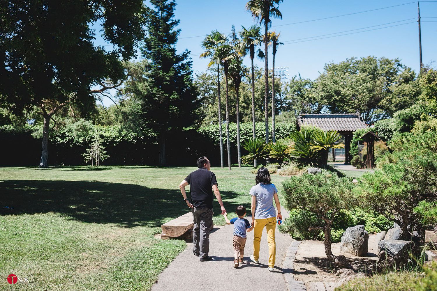 Two people walk down a garden path lined with palm trees and lush landscaping on a sunny day.