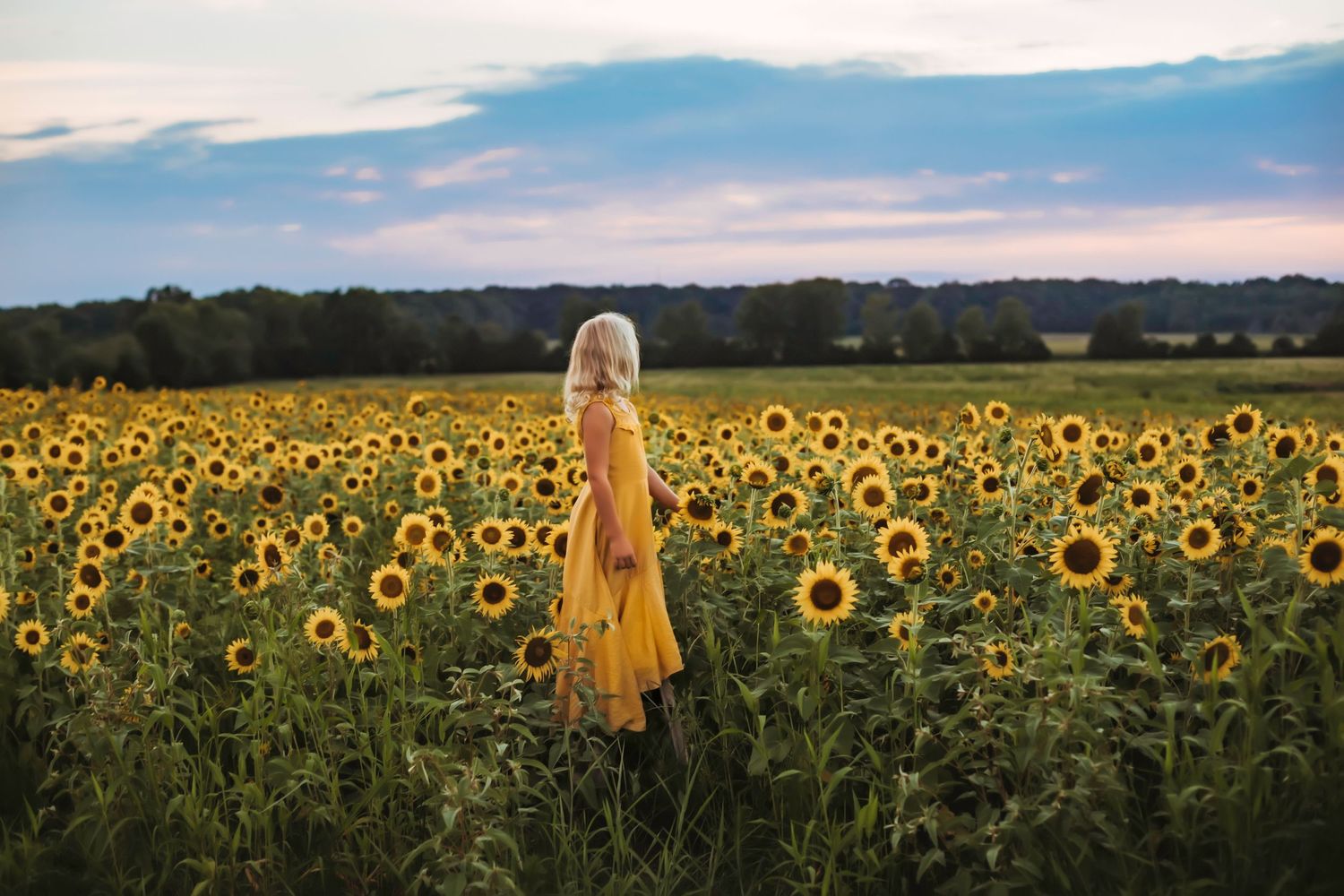 Person in yellow dress standing among vibrant sunflowers at sunset.