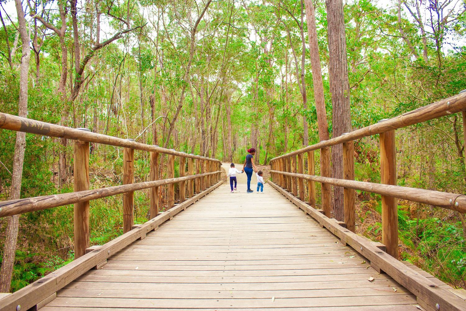 Wooden boardwalk through forest with distant figures walking.