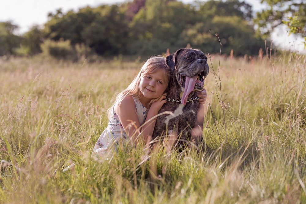 Person and dog sitting together in tall grass during golden hour.