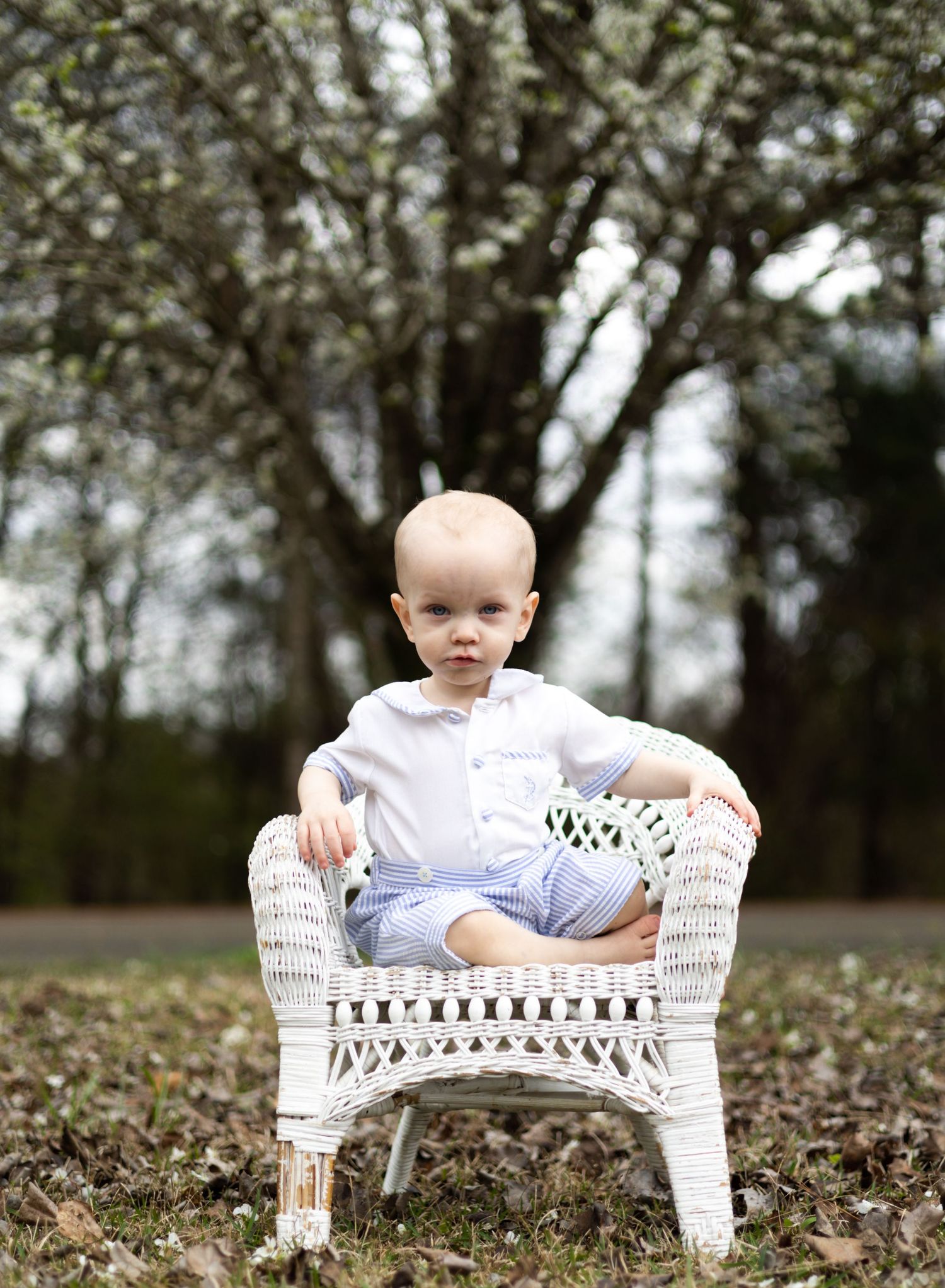 Toddler in chair, Birmingham Alabama family photographer, Birmingham Alabama milestone photographer