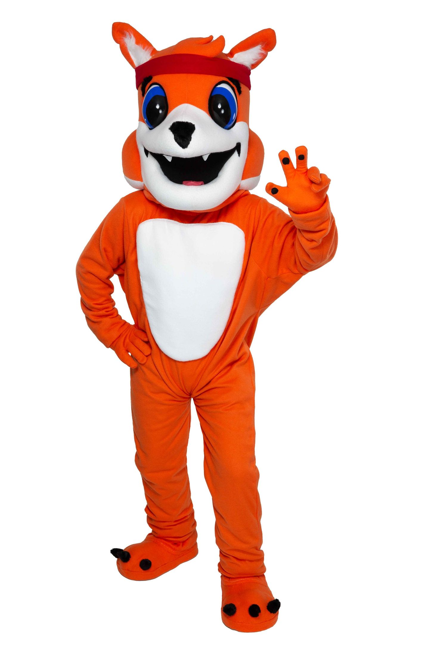 New Minus Elementary School Fox mascot Made in Nova Scotia Hand Made Mascots Well Made Costumes Halifax Sports Mascots