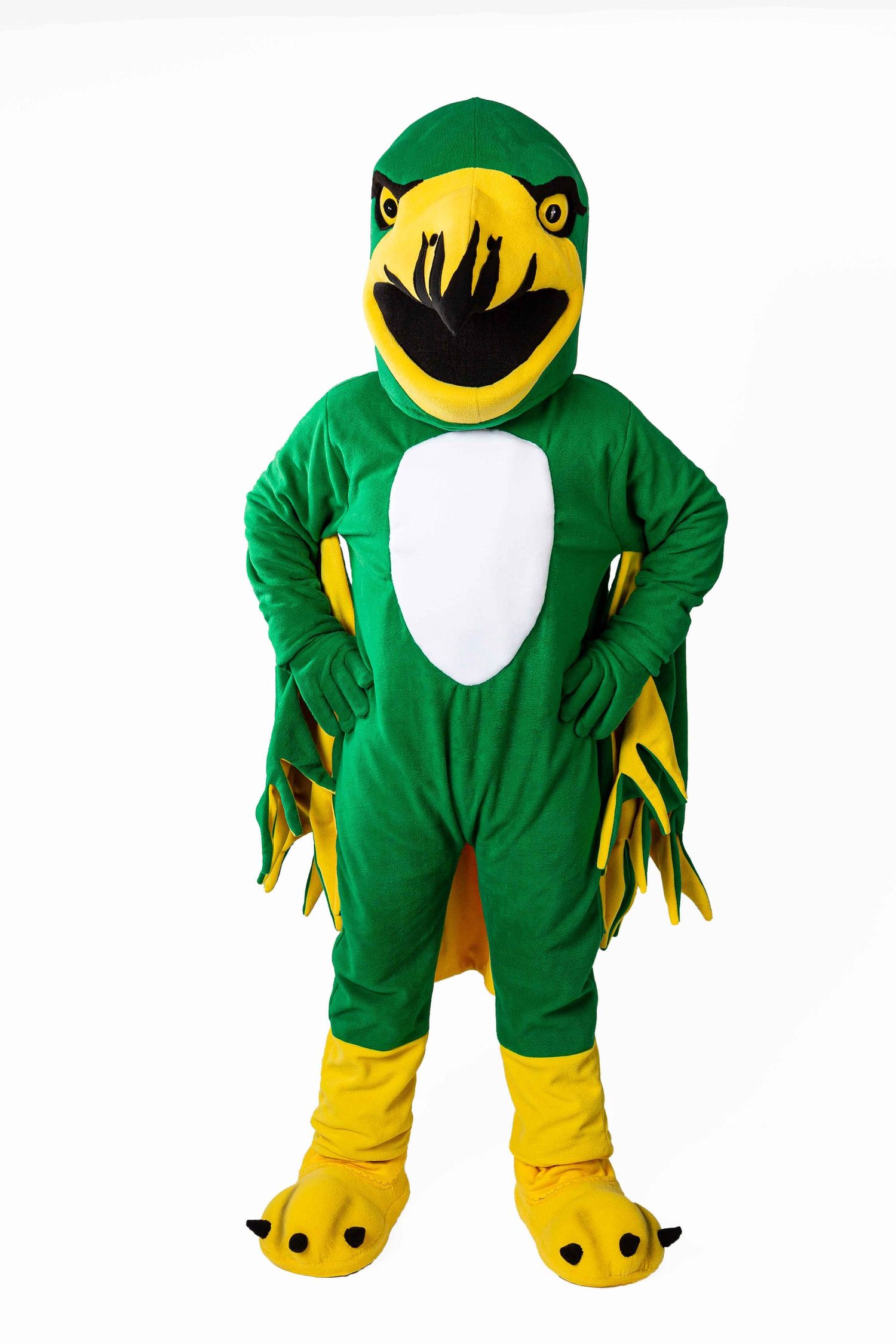 Fogo Island Central Academy Newfoundland Hawk mascot Bam Suger Mascots Maydwell International Mascot Corp NS Halifax
