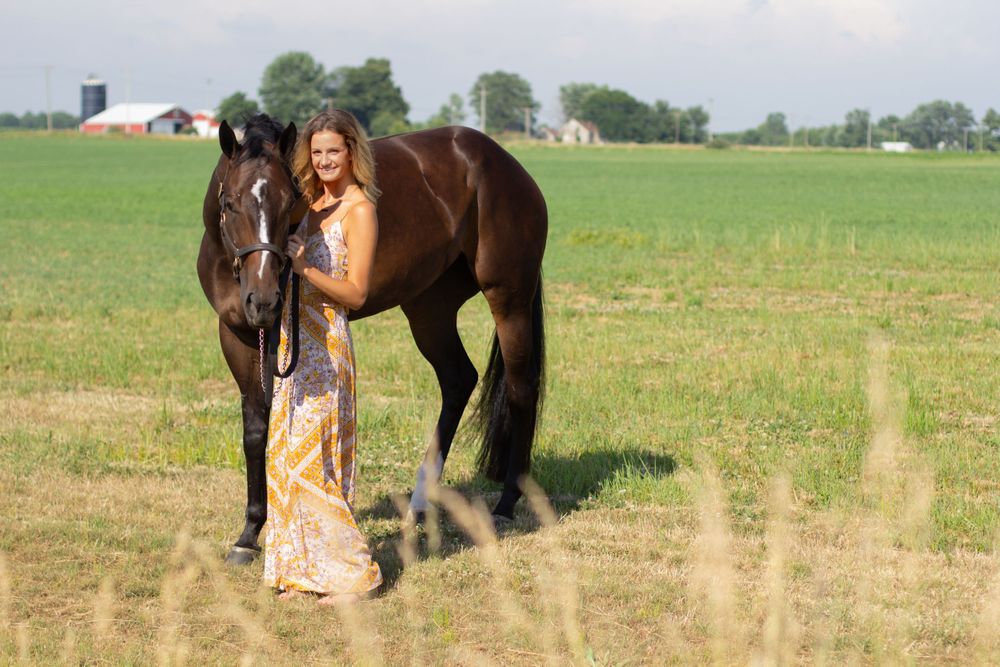 Winter Performance Horses