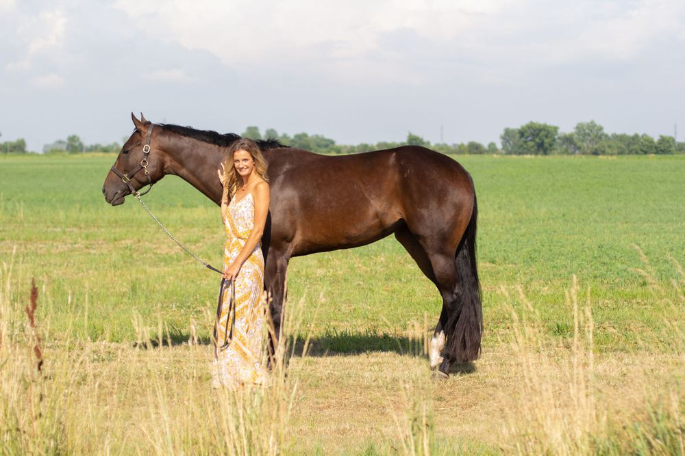 Winter Performance Horses