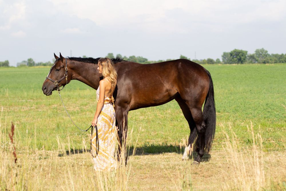 Winter Performance Horses