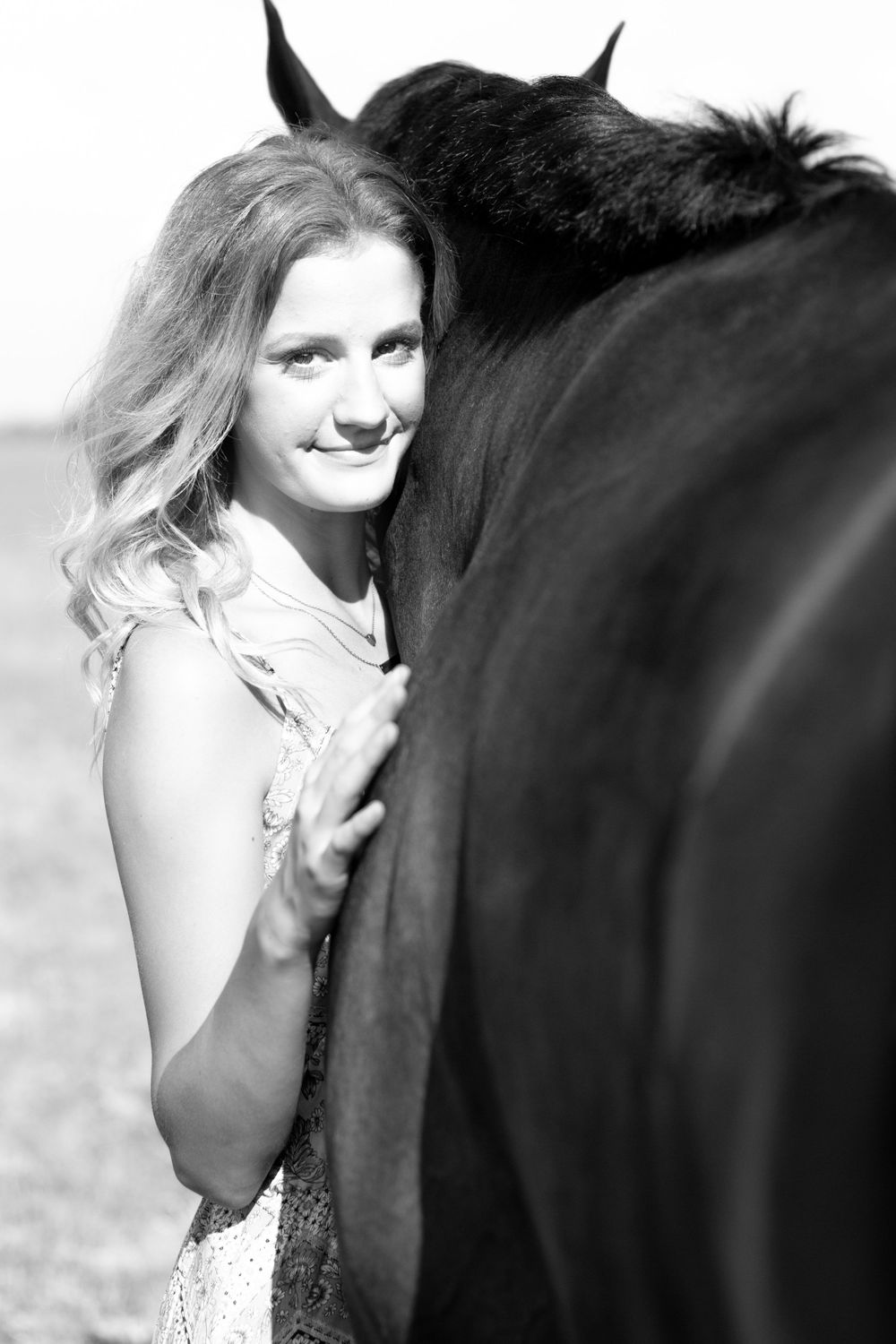 Winter Performance Horses