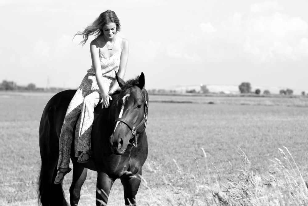 Winter Performance Horses