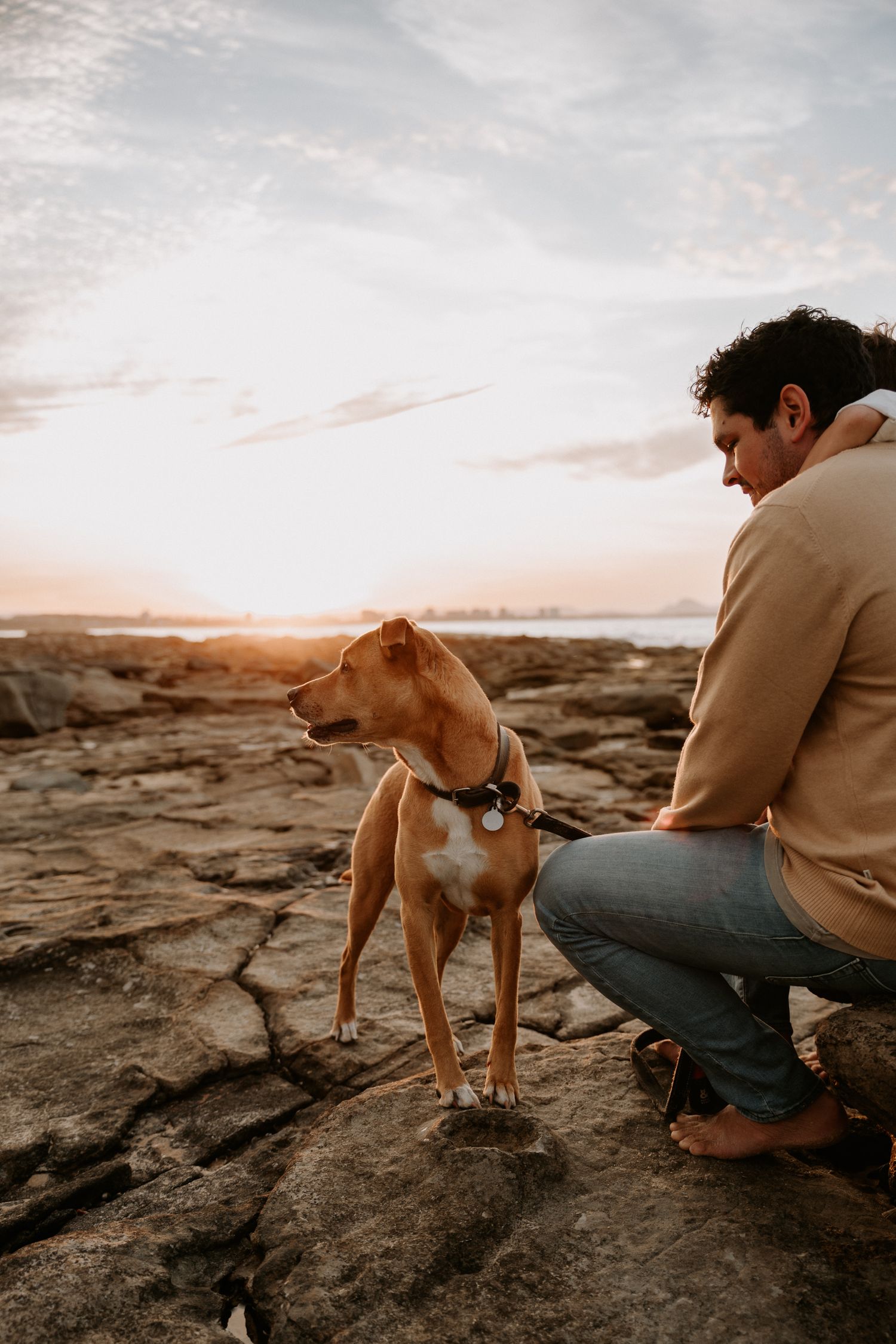 A brown dog stands attentively on rocky coastal terrain during golden hour.