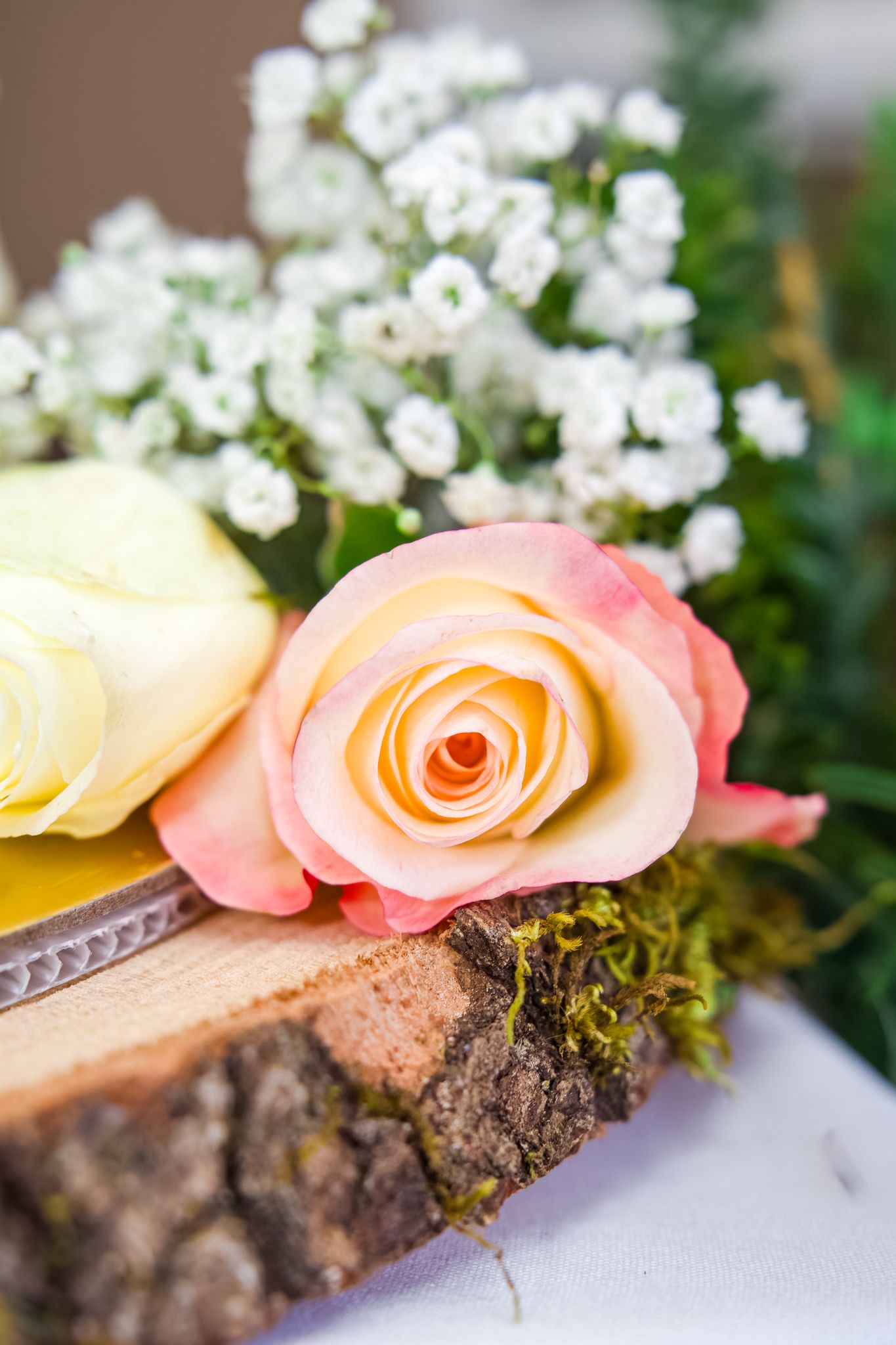 roses by the cake