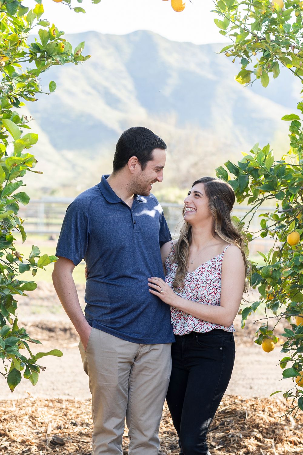 A romantic couple pose among lemon trees with mountains in the background.