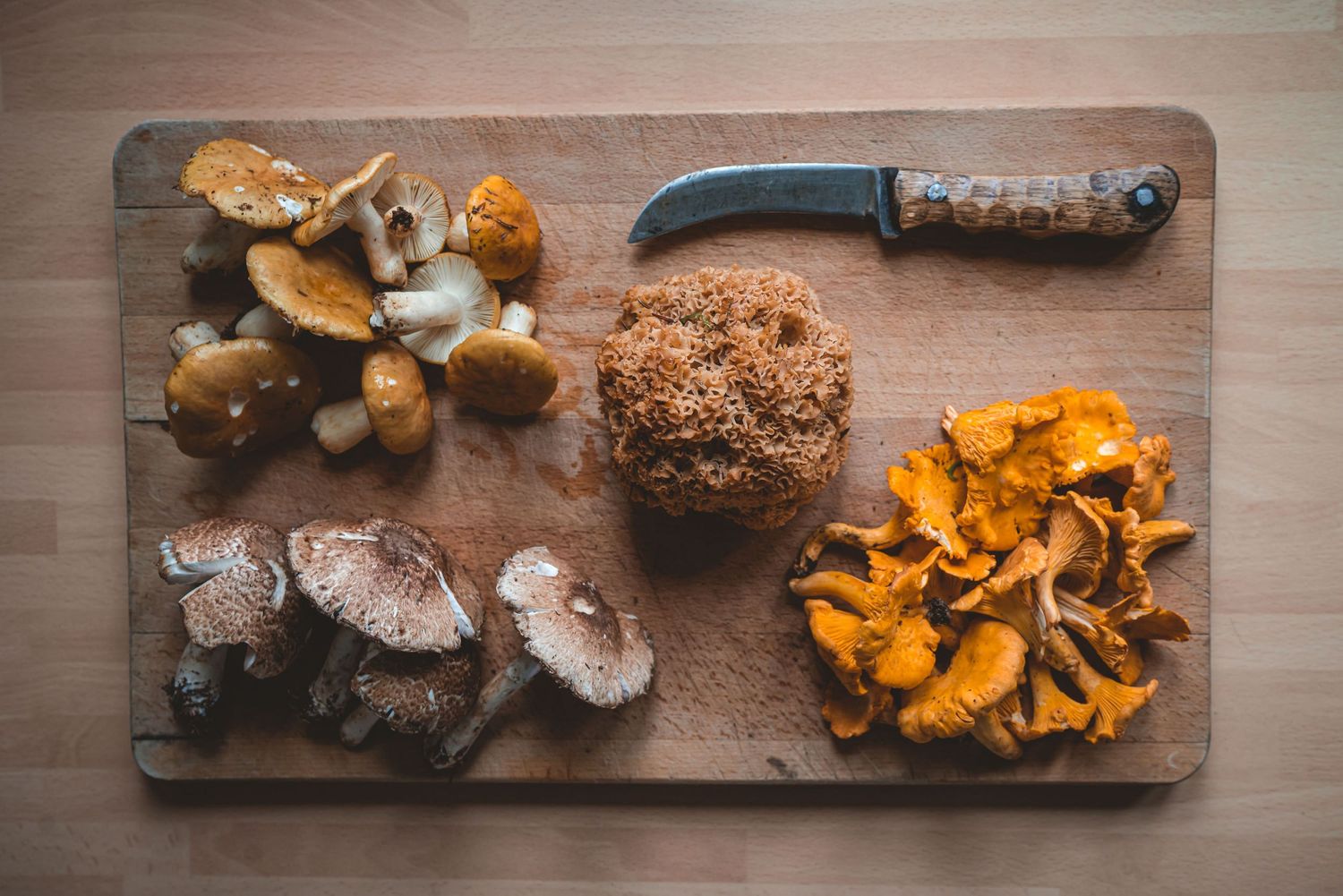 The Grizzly Forager: The Definitive Guide to Foraging with Kids