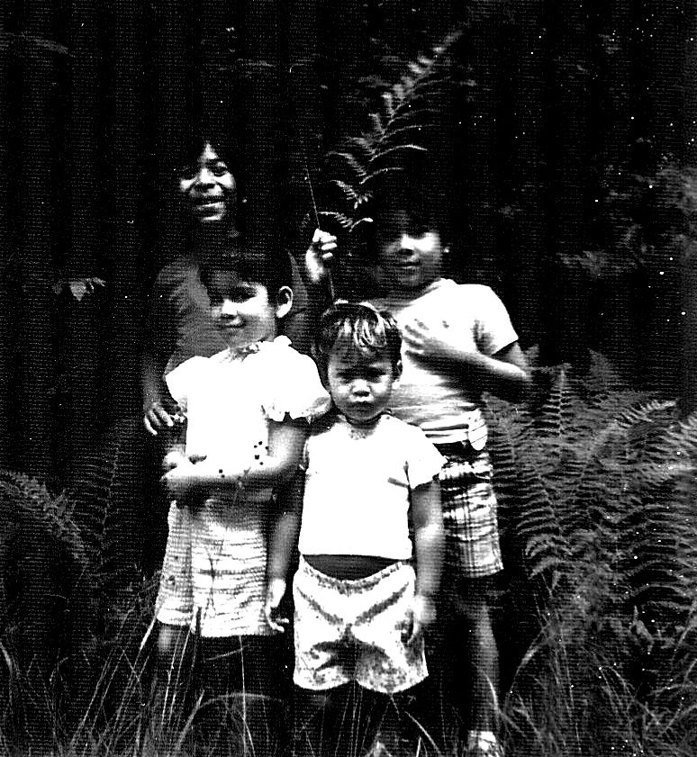 A vintage black and white photograph shows a group of people standing together among tall ferns in a wooded setting.