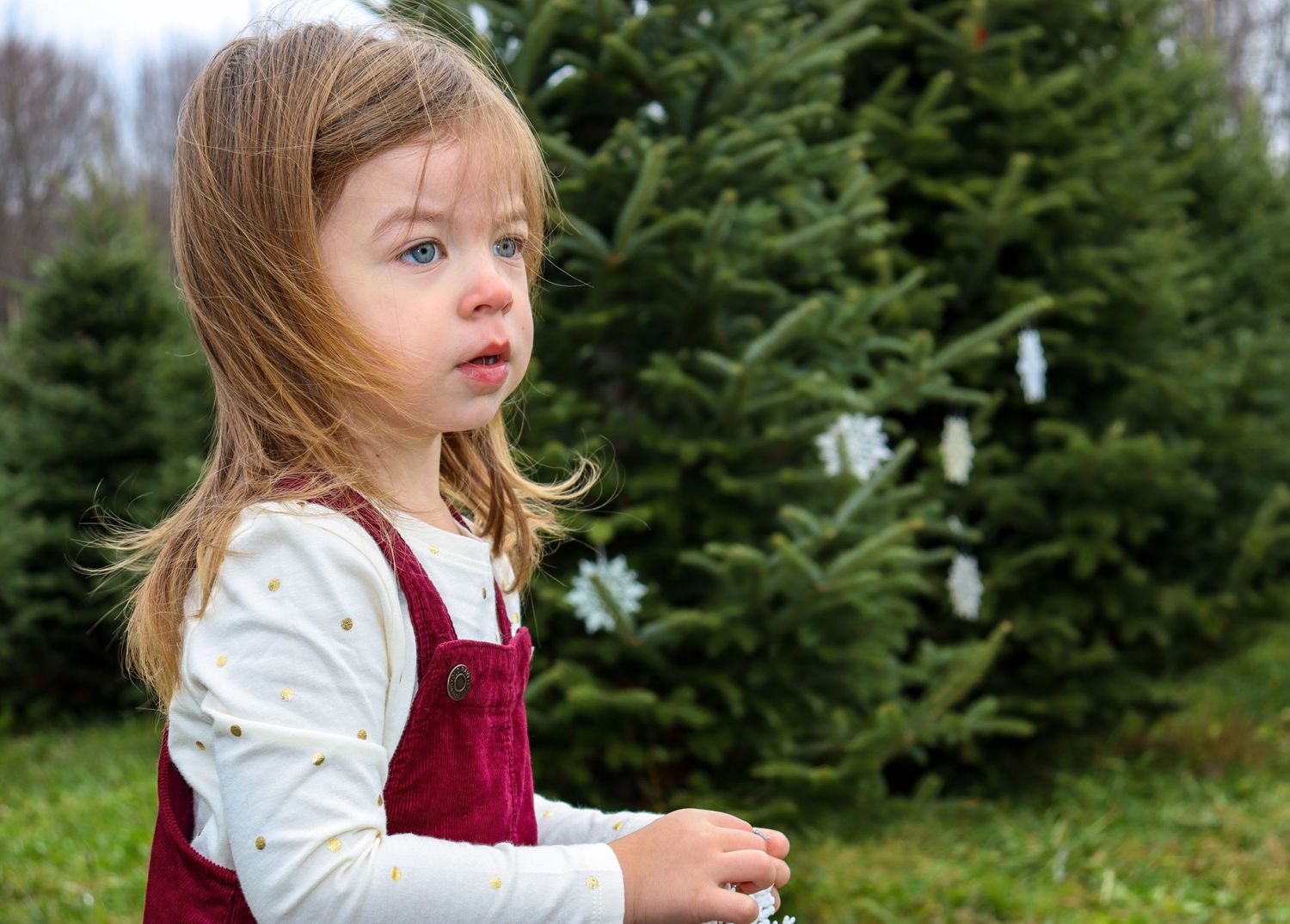 Christmas Mini Session