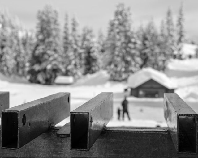 Person standing on snowy rooftop with forest and snow-covered trees, winter scene, North Vancouver