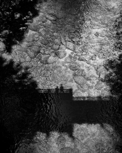 Black and white aerial or reflection photo of trees over water, nature photography, North Vancouver