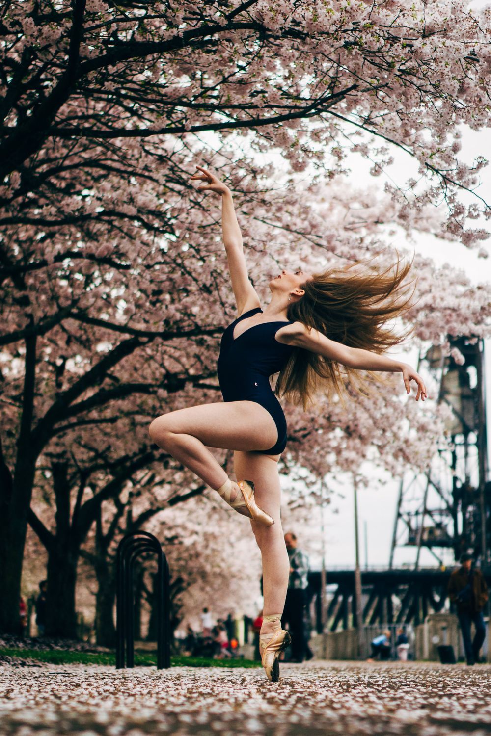 professional portland ballerina dance photography with company dancer with cherry blossom in the background