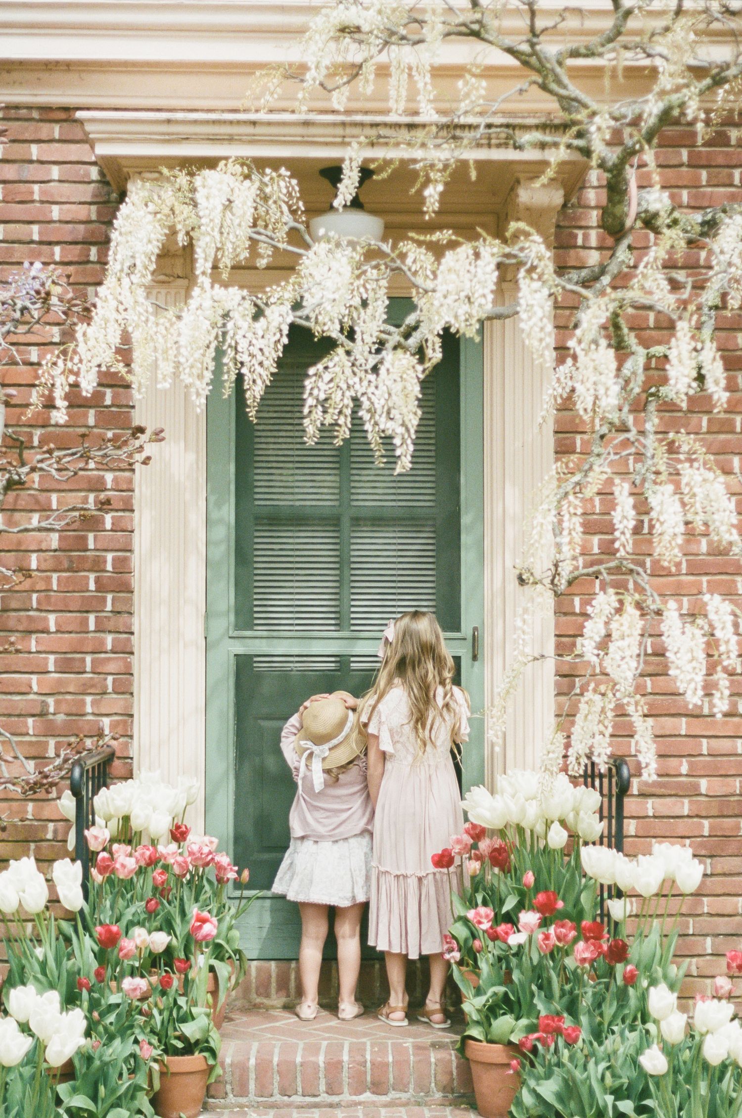 Two children stand at green door surrounded by blooming tulips and white wisteria at Filoli captured by Chelsee Rawe Photography