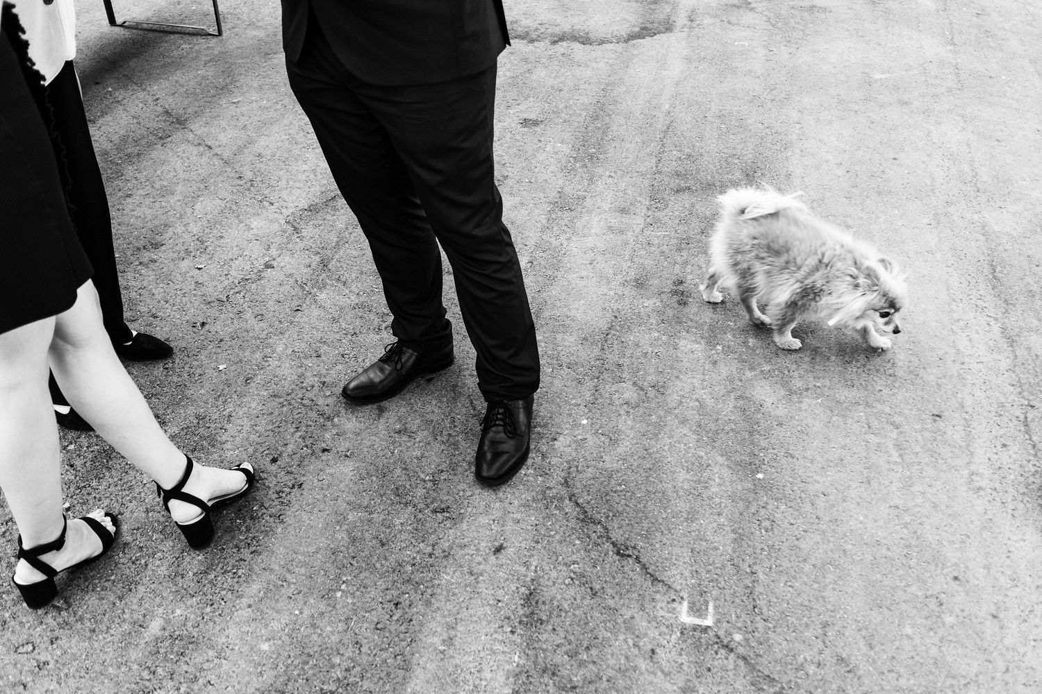 TLOOK photographe de mariage de style documentaire, cocktail portraits des invités