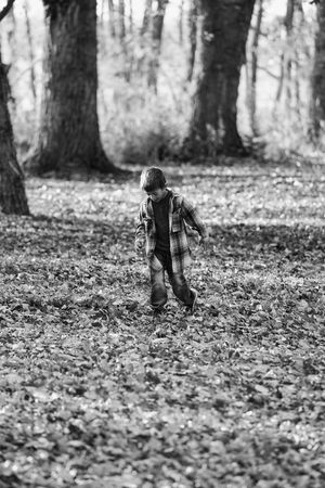 Black and white photo of child walking through fallen leaves in autumn forest.