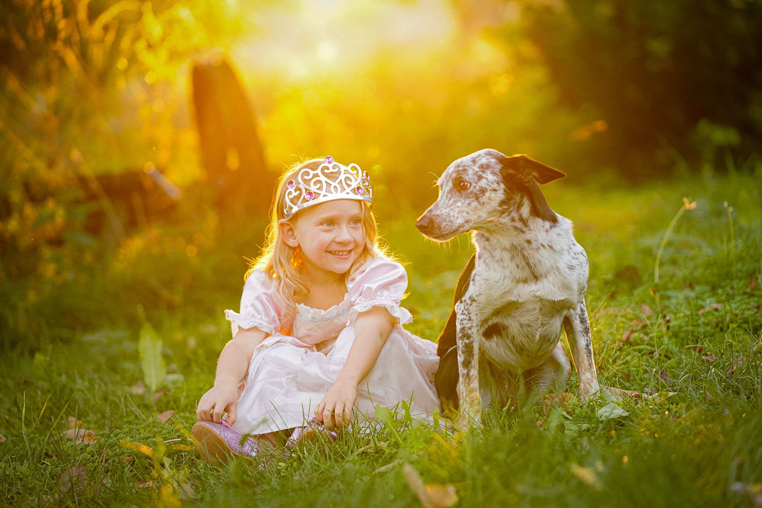 A child in princess dress and tiara sits in golden sunlight with a spotted dog.