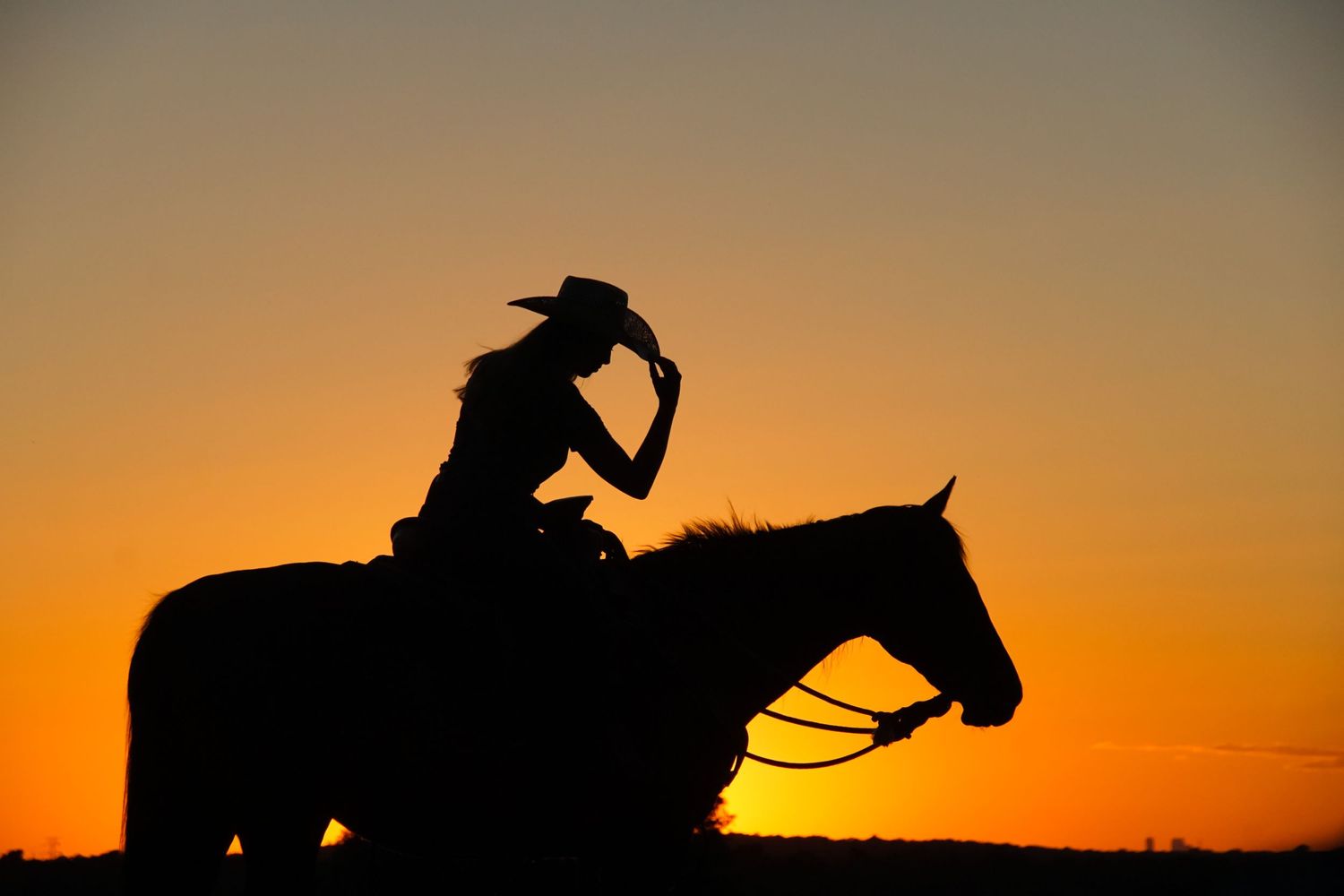 Silhouette of a rider on horseback against a vibrant orange sunset sky.