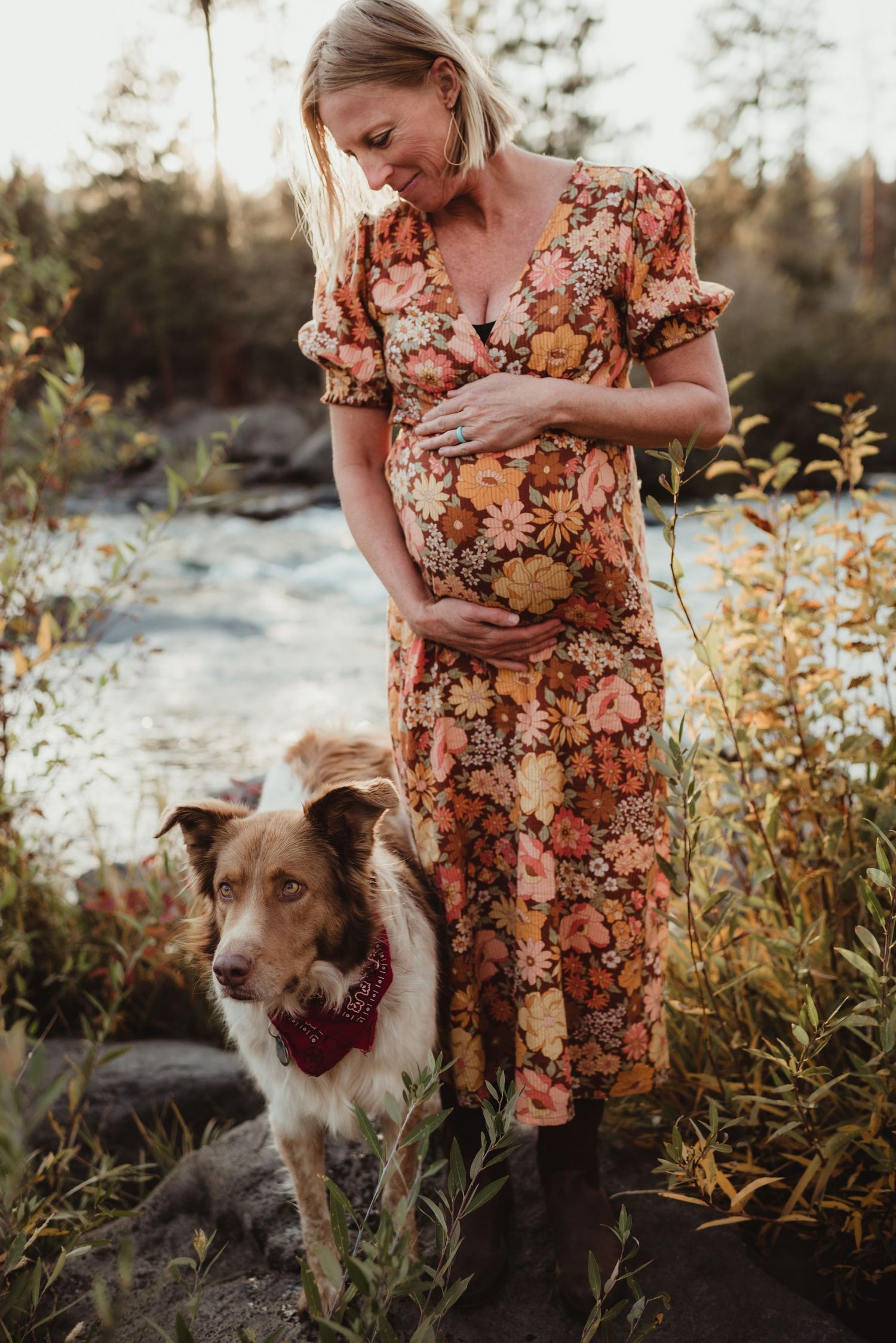 Floral maternity dress photo with brown and white dog in natural outdoor setting at sunset.