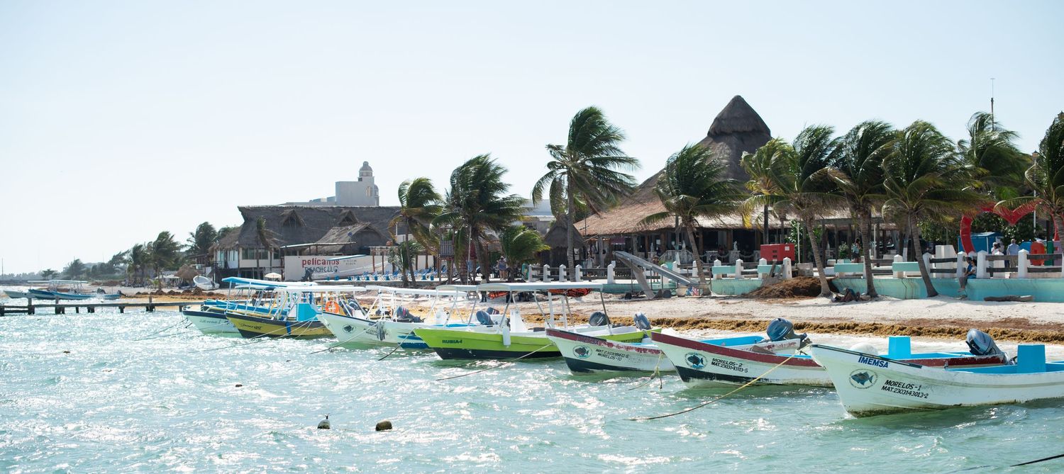 Boats on water with palm tree