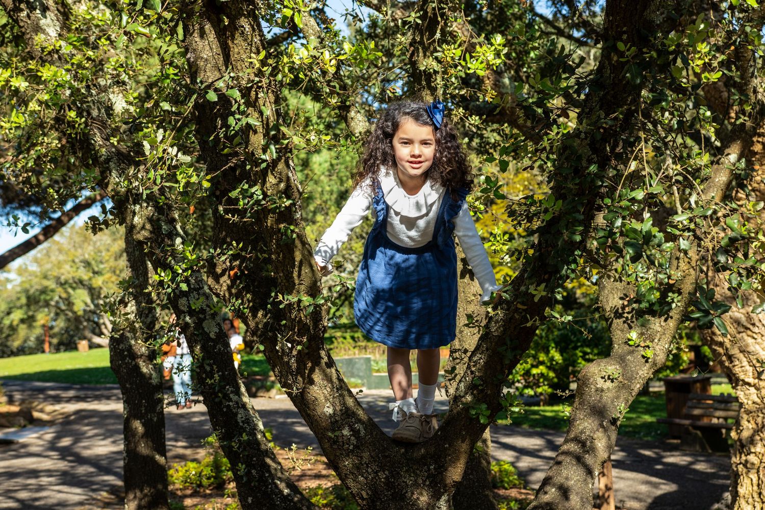 Child in blue dress climbing tree in sunny park.