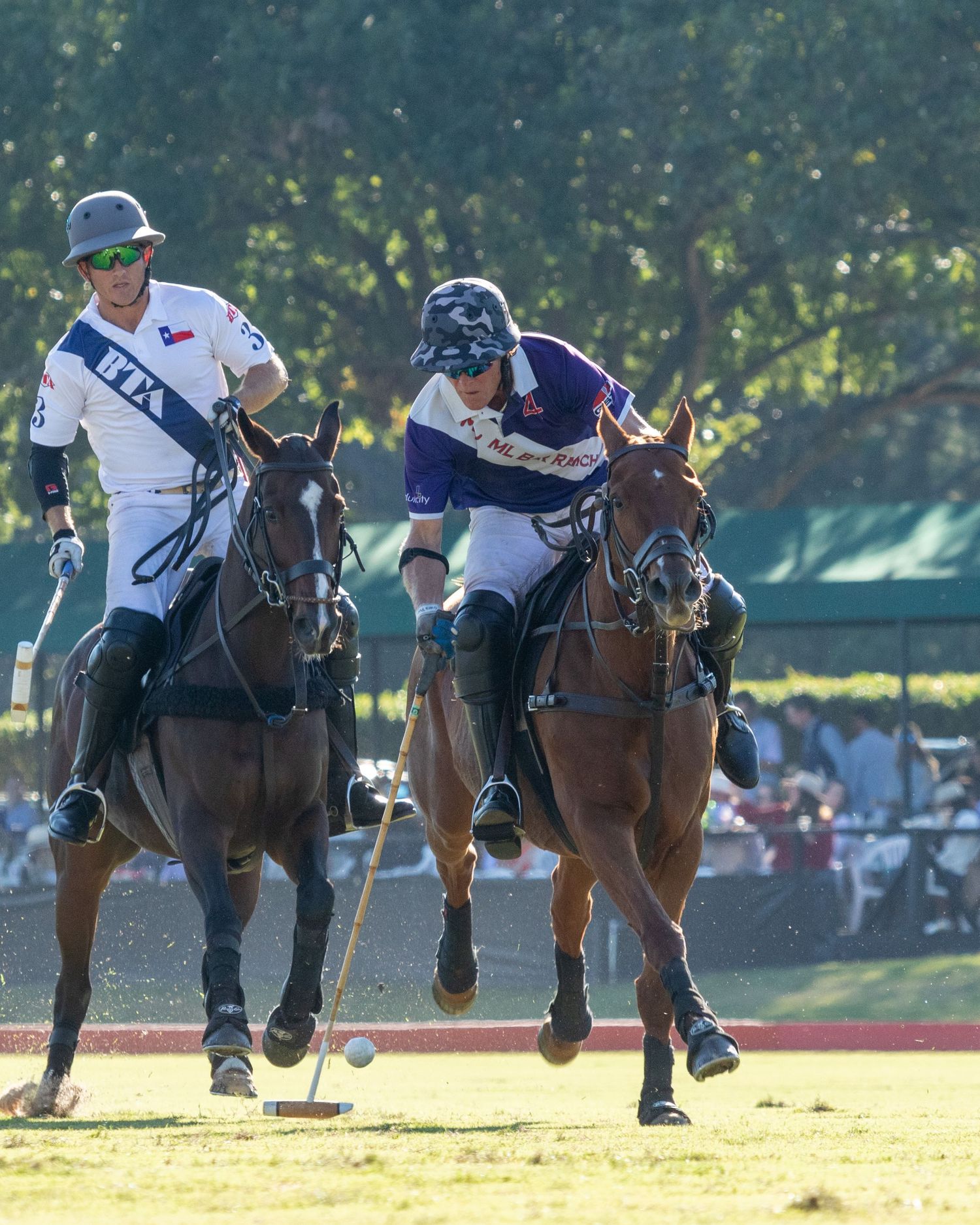 Polo