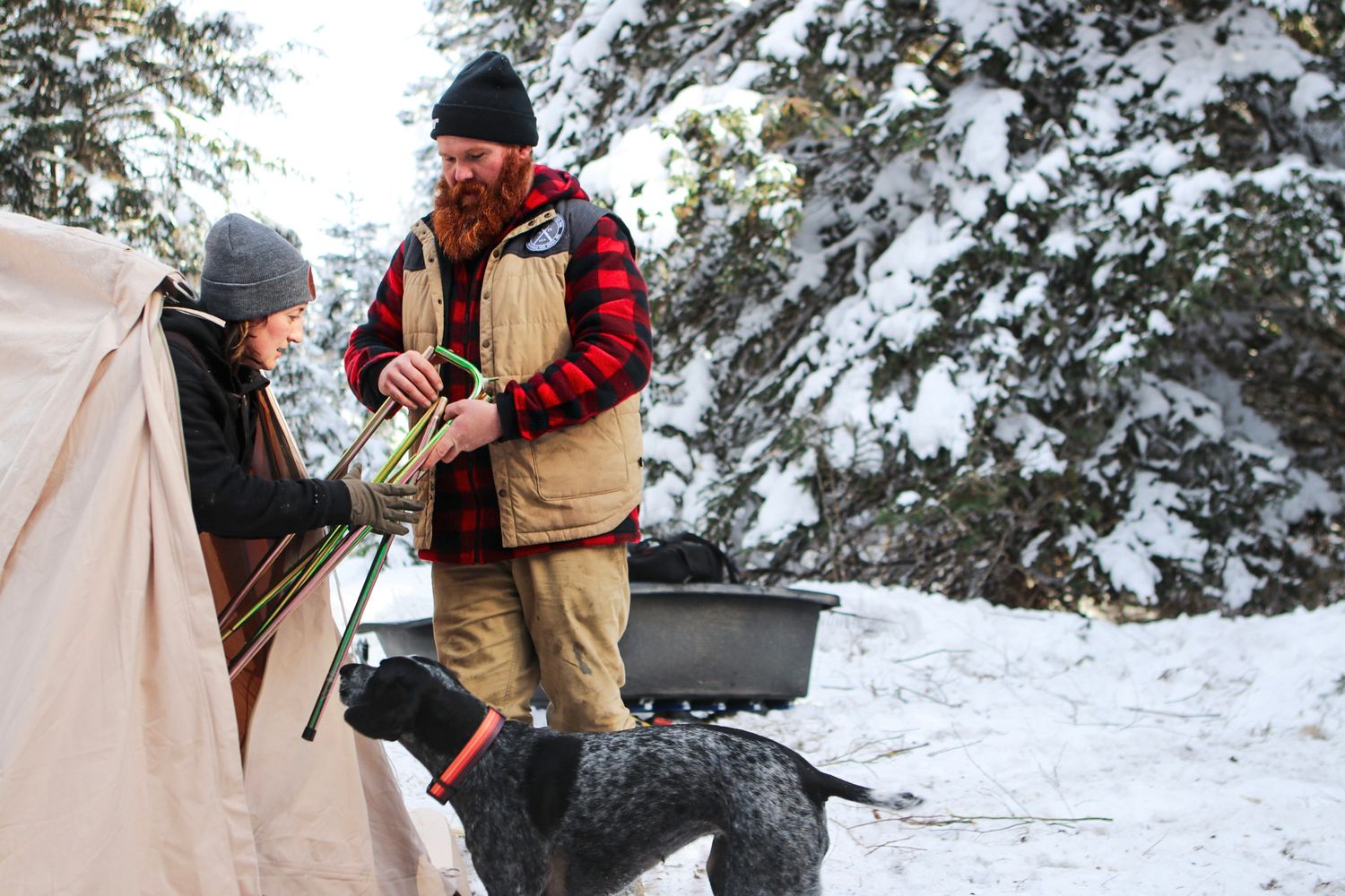Winter camping scene with black dog and camping equipment in snowy forest setting.