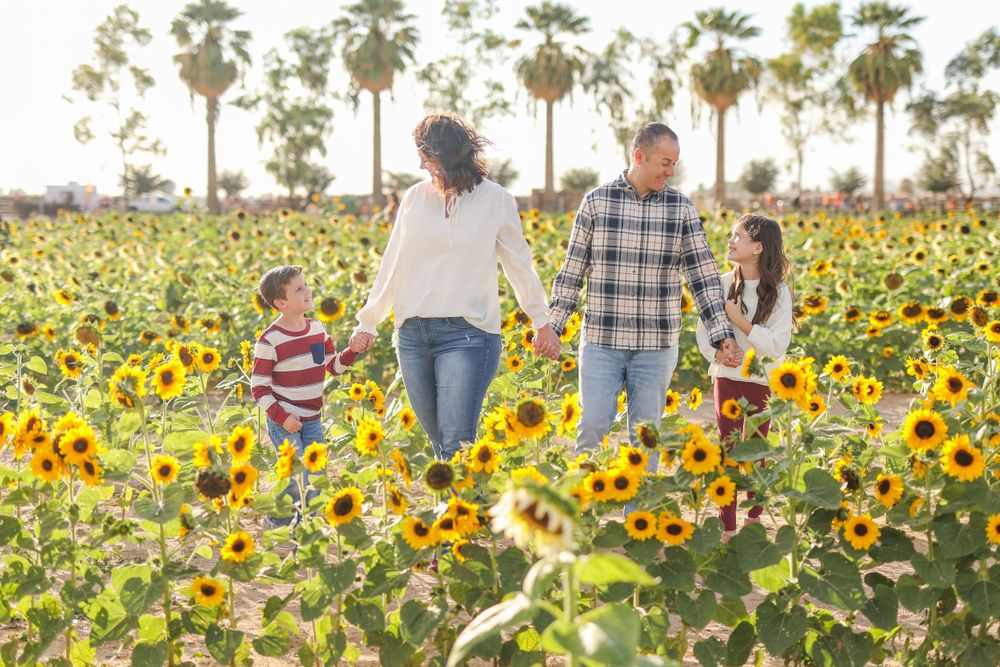 Family walks hand in hand through a vibrant field of tall sunflowers with palm trees in background.