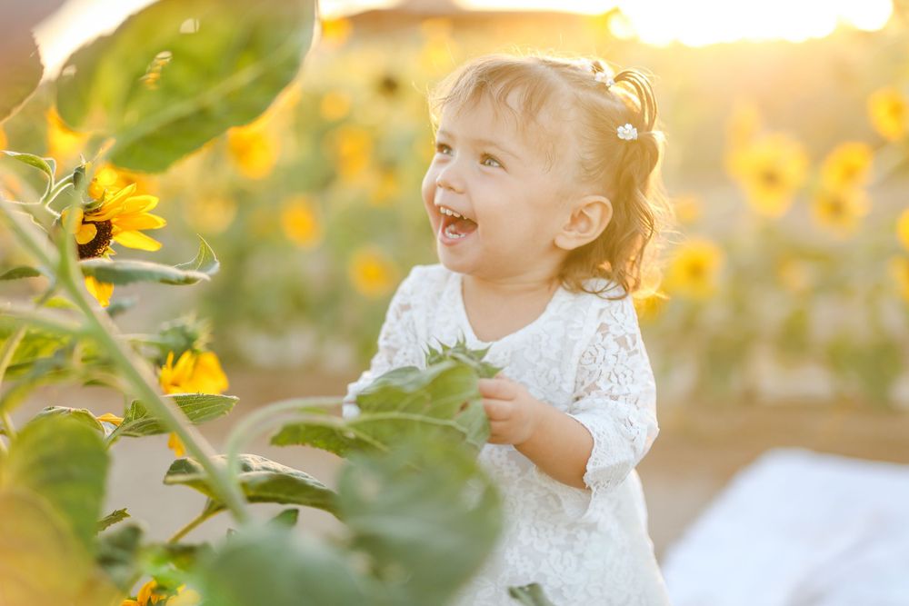 Young child in white dress laughs while playing in sunflower field during golden hour.