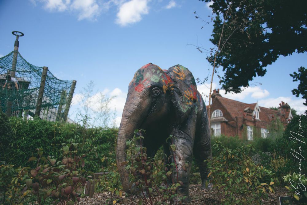 Colchester Zoo