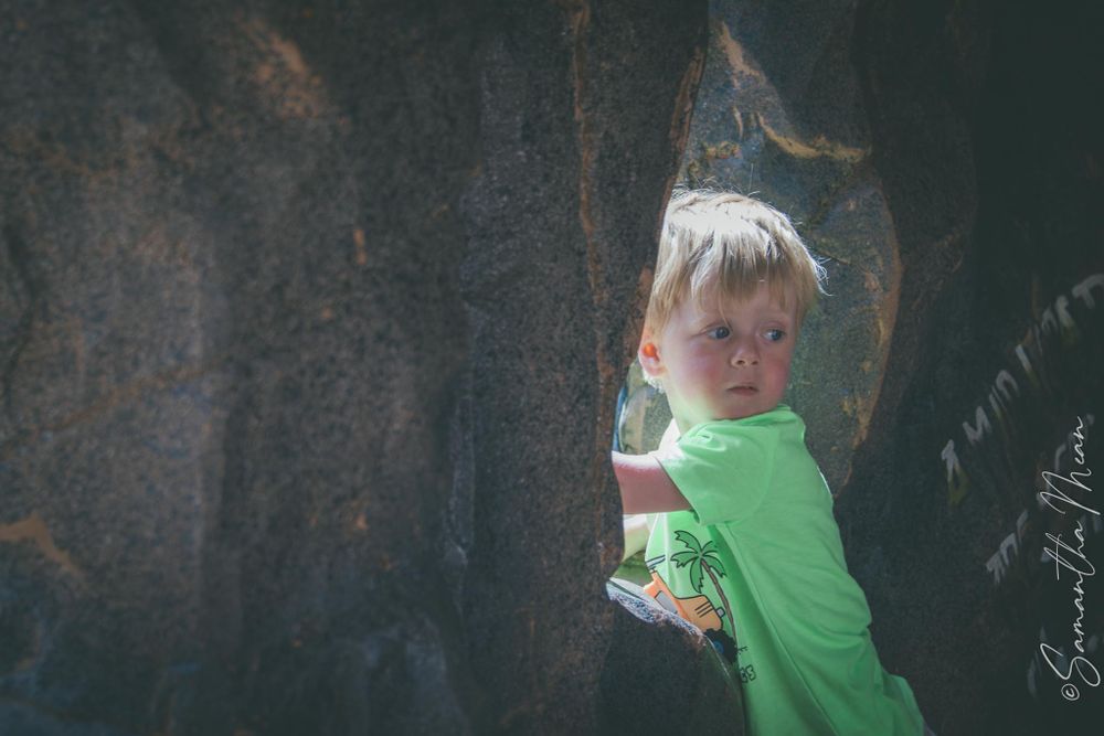 Colchester Zoo