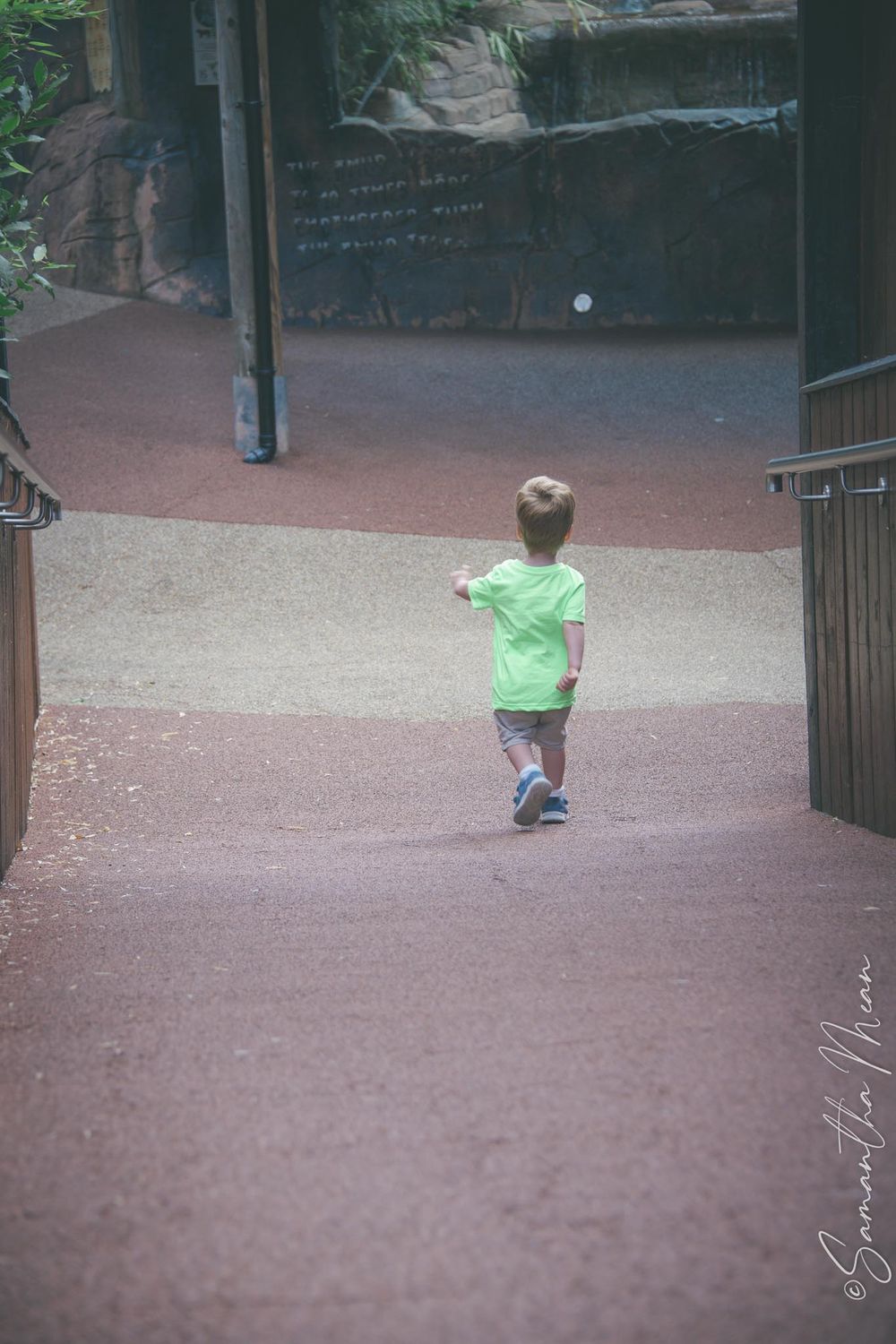 Colchester Zoo