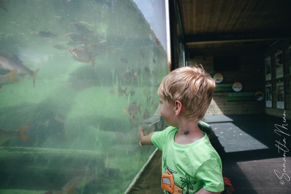 Colchester Zoo